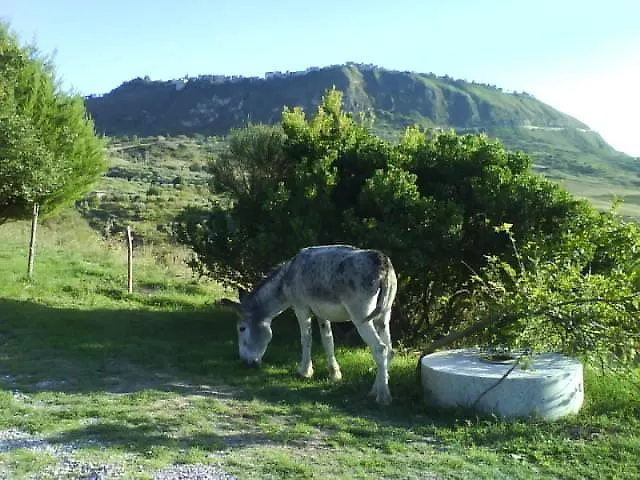 Séjour à la ferme Villa Giardino Donna Lavia à Polizzi Generosa